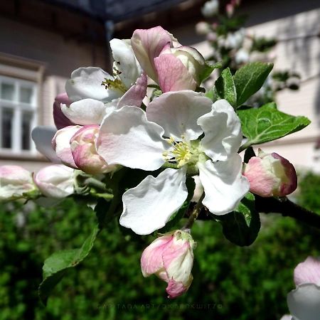 B&B Savikon Kartano Kitee Dış mekan fotoğraf